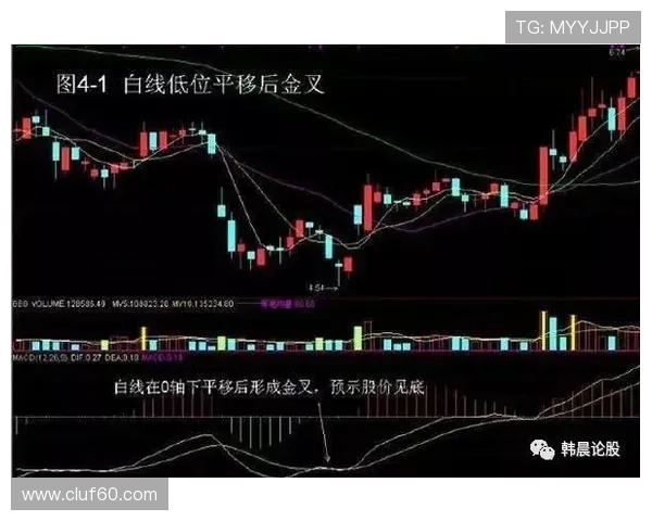 博天堂足彩分析软件免费版功能详解助力用户轻松掌握比赛走势