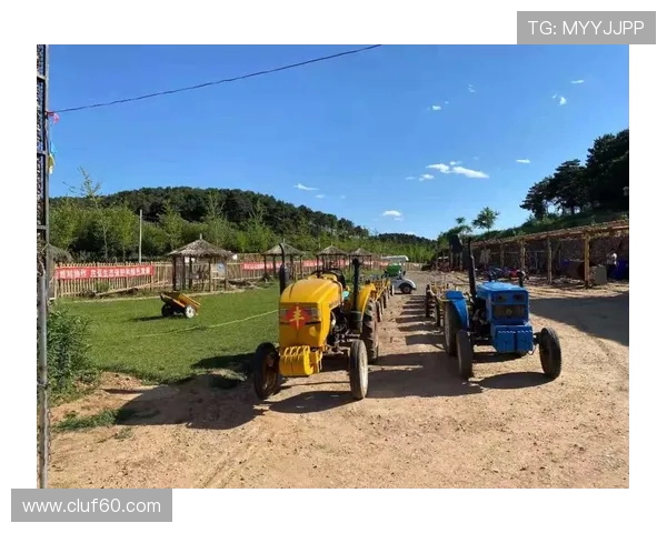 博天娱乐：打造多元化娱乐生态系统的领军企业